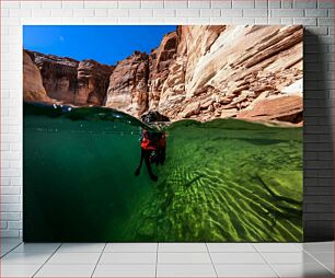 Πίνακας, Dog Swimming in Canyon Waters Σκύλος που κολυμπά στο Canyon Waters