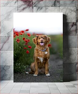 Πίνακας, Dog with Glasses in Flower Field Σκύλος με Γυαλιά στο Λουλούδι