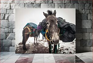 Πίνακας, Donkeys in Snow Γαϊδούρια στο χιόνι