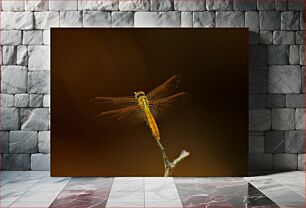 Πίνακας, Dragonfly on a Branch Dragonfly σε ένα κλαδί