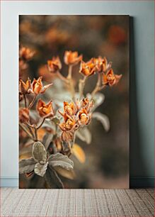 Πίνακας, Dry Flowers in Autumn Ξηρά λουλούδια το φθινόπωρο