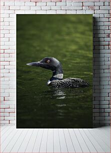 Πίνακας, Duck Swimming in Lake Κολύμπι πάπιας στη λίμνη