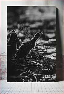 Πίνακας, Duckling Shaking Off Water Παπάκι που τινάζεται από το νερό