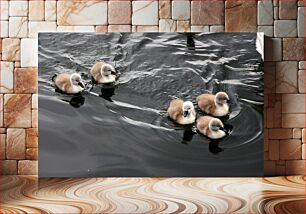 Πίνακας, Ducklings Swimming Παπάκια Κολύμπι