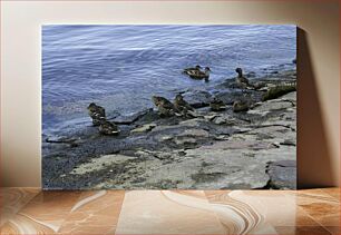 Πίνακας, Ducks by the Water Πάπιες δίπλα στο νερό