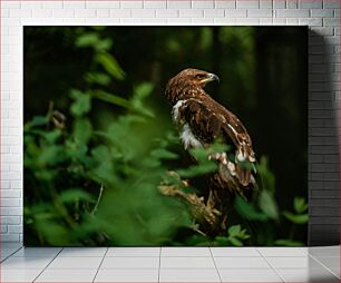 Πίνακας, Eagle Amidst Nature Eagle Amidst Nature