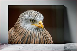 Πίνακας, Eagle Close-up Κοντινό πλάνο Eagle