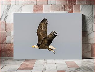 Πίνακας, Eagle in Flight Eagle in Flight