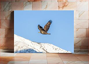 Πίνακας, Eagle in Flight Eagle in Flight