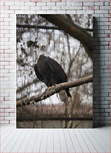 Πίνακας, Eagle on Branch Eagle on Branch