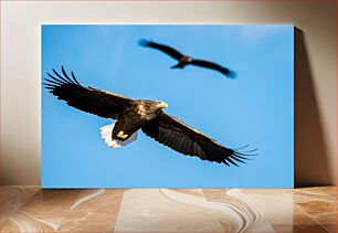 Πίνακας, Eagles in Flight Eagles in Flight