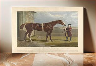 Πίνακας, 'Eclipse' / 'He was bred in 1764, by H.R.H. Wm. Cuke of Cumberland, got by Marsk, son of squirt, a son of Gartletts Childers, own brother to Flying Childers.