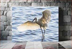 Πίνακας, Egret in Flight Τσικνιά σε πτήση