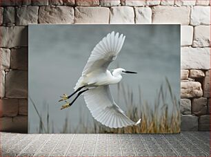 Πίνακας, Egret in Flight Τσικνιά σε πτήση