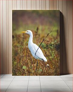 Πίνακας, Egret in Natural Habitat Τσικνιάς στο φυσικό βιότοπο