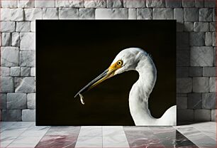 Πίνακας, Egret with Catch Τσικνιά με Πιάσε