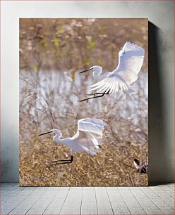 Πίνακας, Egrets in Flight Τσικνιάδες σε πτήση