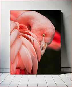 Πίνακας, Elegant Flamingo Κομψό Φλαμίνγκο