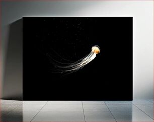 Πίνακας, Elegant Jellyfish in the Dark Sea Κομψή μέδουσα στη σκοτεινή θάλασσα