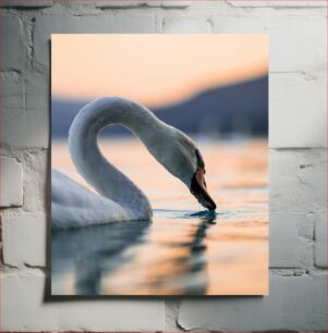 Πίνακας, Elegant Swan at Sunset Κομψός Κύκνος στο ηλιοβασίλεμα