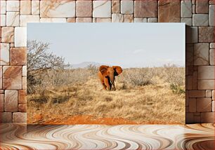 Πίνακας, Elephant in the Savannah Ελέφαντας στη Σαβάνα