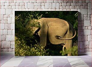 Πίνακας, Elephant in the Wild Ελέφαντας στην άγρια ​​φύση