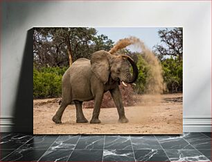 Πίνακας, Elephant Throwing Dust in the Wild Ελέφαντας που ρίχνει σκόνη στην άγρια ​​φύση