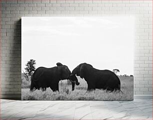 Πίνακας, Elephants in Black and White Ελέφαντες σε ασπρόμαυρο