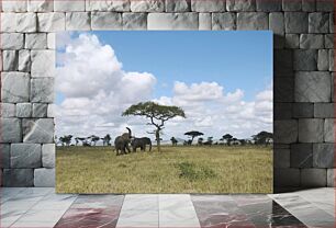 Πίνακας, Elephants in Grassland Ελέφαντες στο Λιβάδι