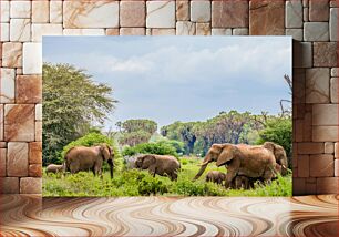 Πίνακας, Elephants in the Wild Ελέφαντας στην άγρια ​​φύση