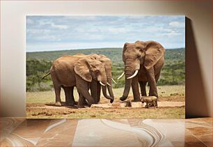 Πίνακας, Elephants in the Wild Ελέφαντας στην άγρια ​​φύση
