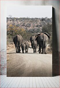 Πίνακας, Elephants Walking Together Ελέφαντες που περπατούν μαζί