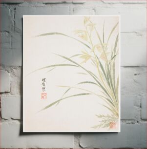 Πίνακας, Epidendrum Blossom from a Flower Album of Ten Leaves (1656) by Xiang Shengmo