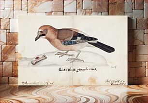 Πίνακας, Eurasian jay, 1831, by Ferdinand von Wright