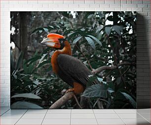 Πίνακας, Exotic Bird in Natural Habitat Εξωτικό πουλί σε φυσικό βιότοπο