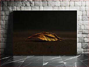 Πίνακας, Fallen Leaf Πεσμένο φύλλο