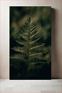 Πίνακας, Fern in Focus Φτέρη στο επίκεντρο