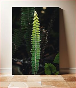 Πίνακας, Fern in Nature Φτέρη στη φύση