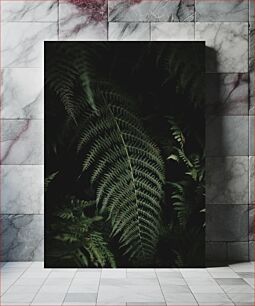 Πίνακας, Fern Leaves in Darkness Φύλλα φτέρης στο σκοτάδι