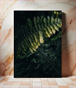 Πίνακας, Fern Leaves in Shadow Φύλλα Φτέρης στη Σκιά