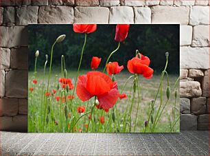 Πίνακας, Field of Red Flowers Πεδίο με κόκκινα λουλούδια