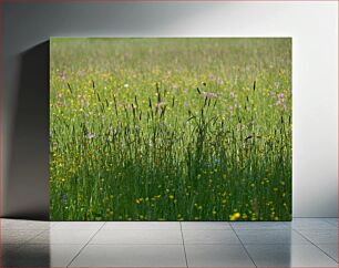 Πίνακας, Field of Wildflowers Πεδίο με αγριολούλουδα