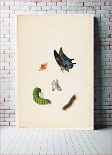 Πίνακας, Five insects