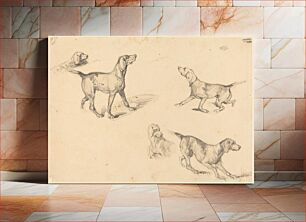 Πίνακας, Five Studies of a French Pointer (1825–1826) by Richard Parkes Bonington