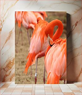 Πίνακας, Flamingo Flock Σμήνος Flamingo