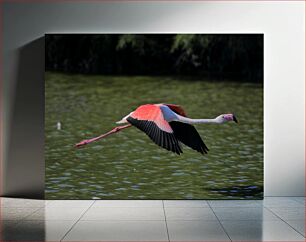 Πίνακας, Flamingo in Flight Flamingo in Flight