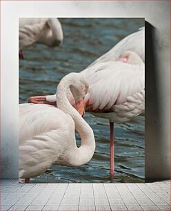 Πίνακας, Flamingos by the Water Φλαμίνγκο δίπλα στο νερό