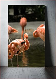 Πίνακας, Flamingos by the Water Φλαμίνγκο δίπλα στο νερό