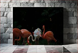 Πίνακας, Flamingos in the Dark Φλαμίνγκο στο σκοτάδι