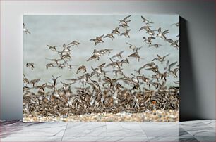 Πίνακας, Flock of Birds in Flight Σμήνος πουλιών σε πτήση